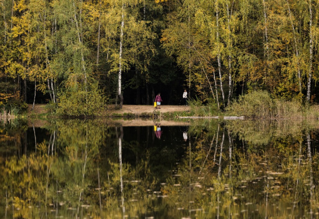 People walk on a shore of a lake surrounded by autumn-coloured trees outside Balashikha, Moscow Russia