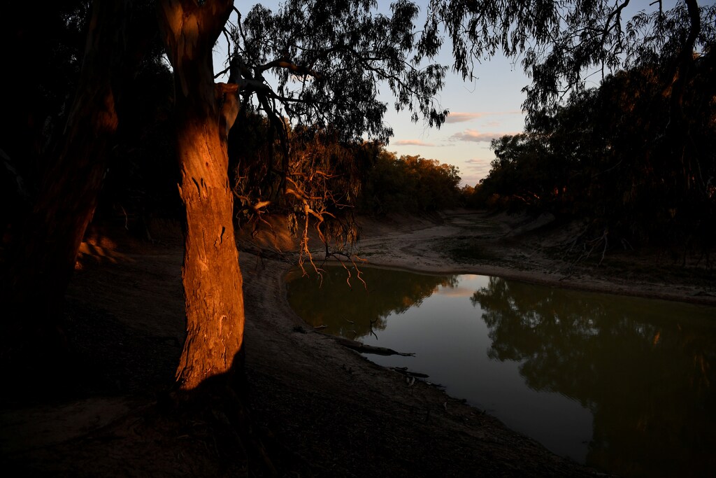 The trunk of a gum tree glows as the sun sets over what is left of the Darling River in Menindee, Australia, September 29, 2019. Lined with river red gums, the Darling also waters some of Australia's richest grazing land. Reduced to a string of stagnant mustard-coloured pools, fouled in places with pesticide runoff and stinking with the rotting carcasses of cattle and fish, the Darling River is running dry. REUTERS/Tracey Nearmy SEARCH "NEARMY DROUGHT" FOR THIS STORY. SEARCH "WIDER IMAGE" FOR ALL STORIES. - RC1A85F053D0