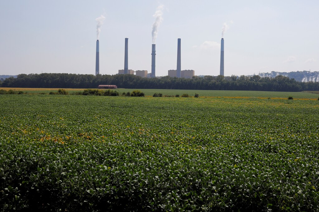 cost of coal energy