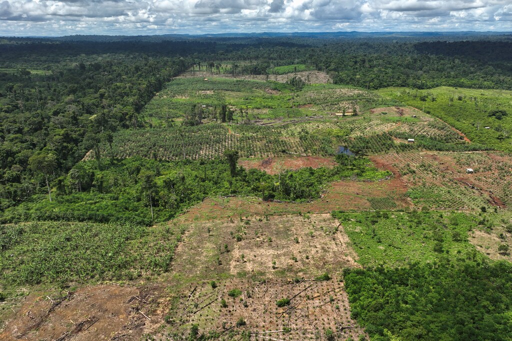 An aerial view shows deforestation in Brazilian Amazon.