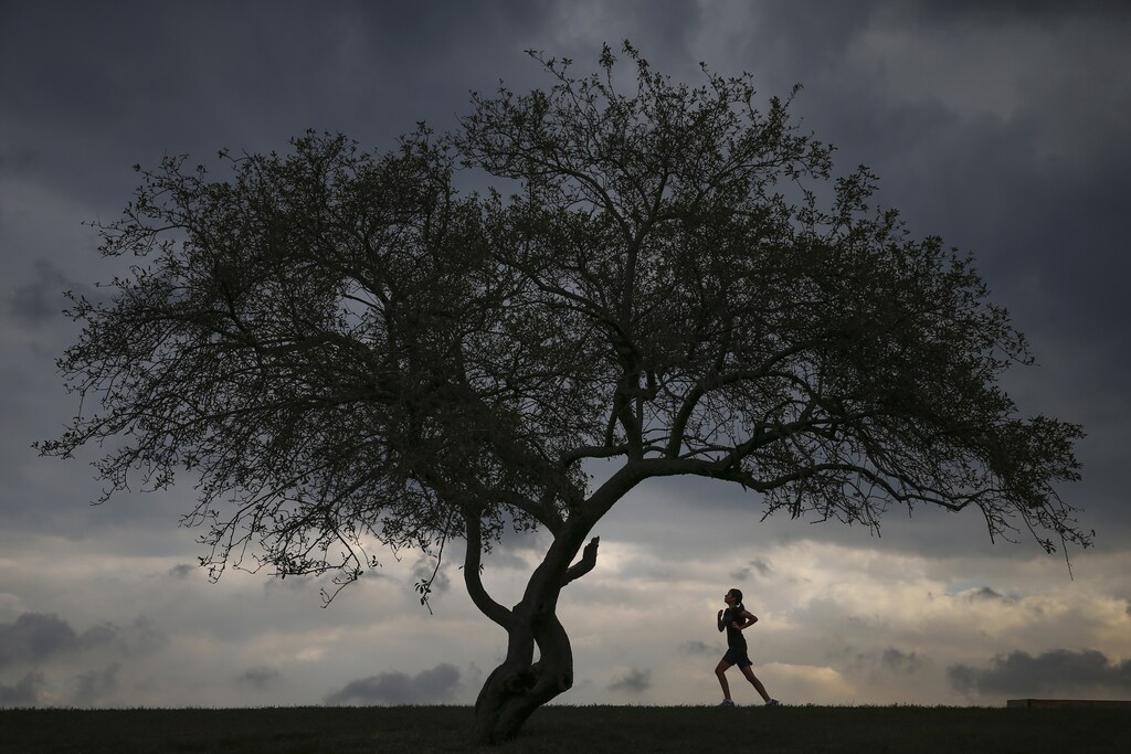 A woman is seen jogging at Cunningham Park in the borough of Queens in New York.