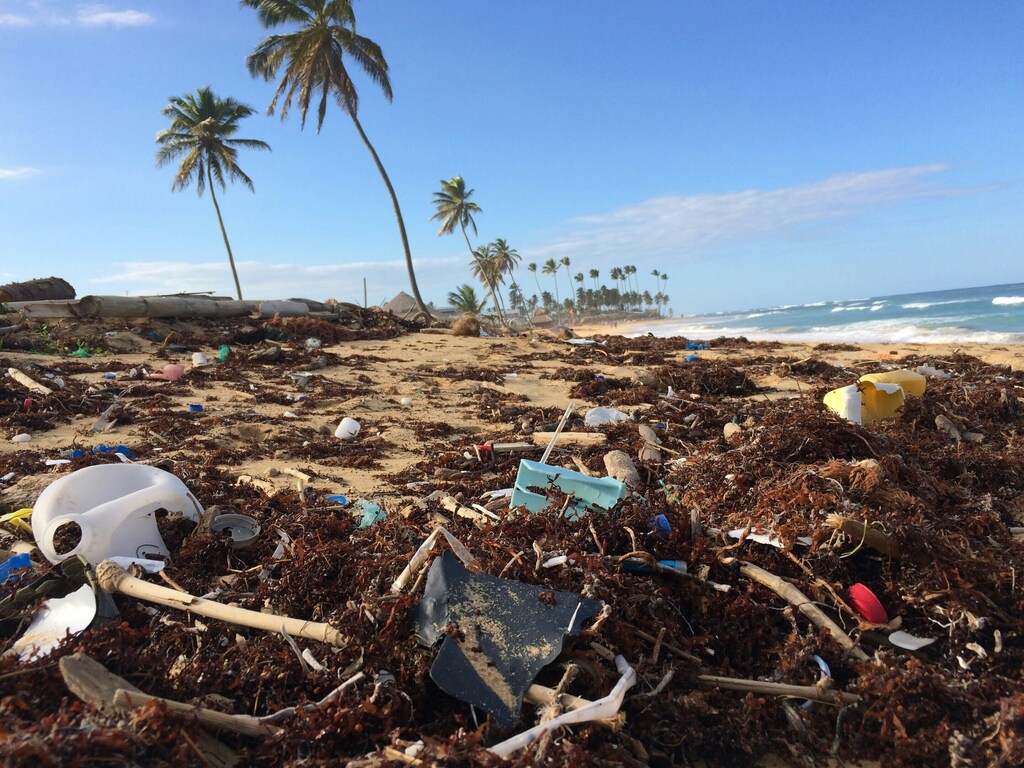 Plástico y basura en una playa del Mediterráneo.