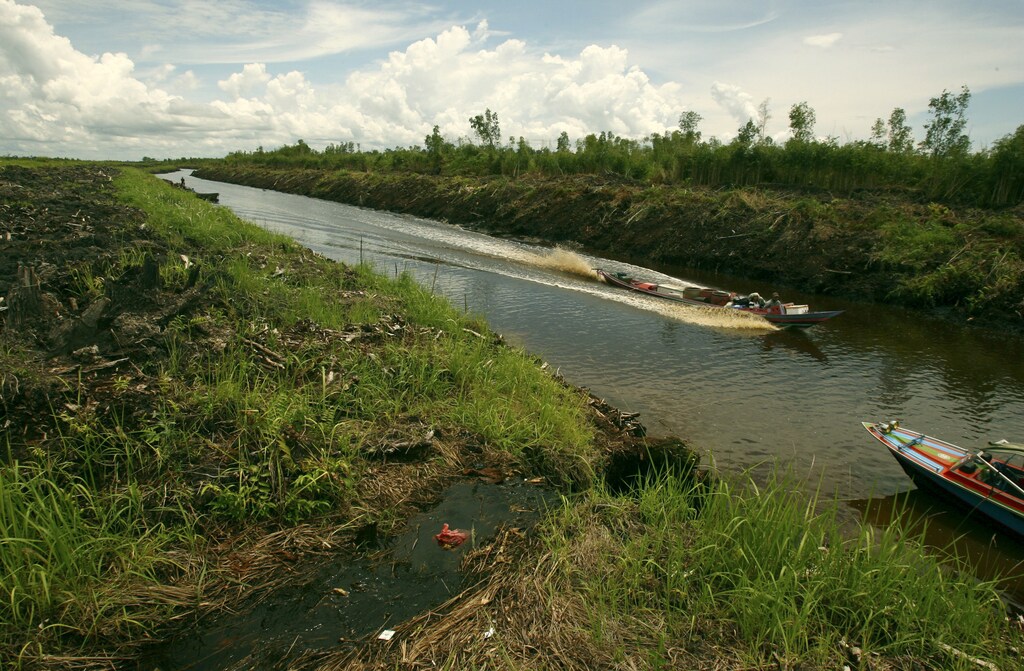 Boats travel by a shallow transportation canal cut through a cleared peat swamp-like forest in Indonesia's Central Kalimantan province on Borneo island November 14, 2010. Rainforests cover 60 percent of Indonesia, and yet the country is one of the world's leading emitters of the greenhouse gas blamed for global warming. The reason is that Indonesia also has one of the planet's fastest rates of deforestation. Picture taken November 14, 2010.To match Special Report CLIMATE DEFORESTATION/INDONESIA REUTERS/Yusuf Ahmad (INDONESIA - Tags: ENVIRONMENT) - GM1E6C31GFO01