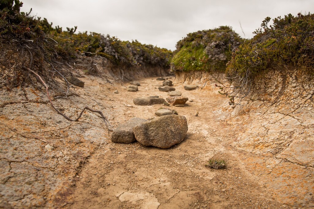 this a river run dry due to drought in Australia