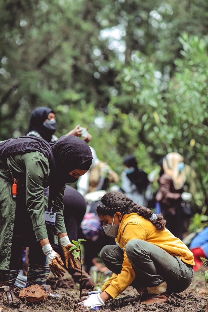 Tree-planting in Ethiopia. @eyoel_kahssay_photographer