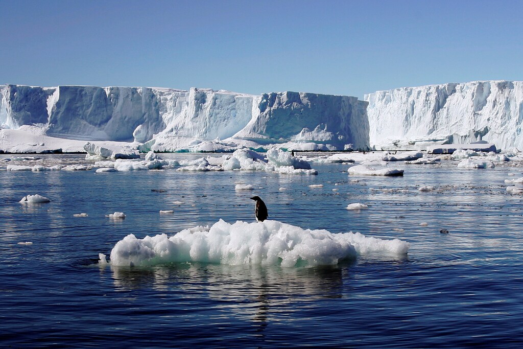 A penguin stands on a block of melting ice in East Antarctica.