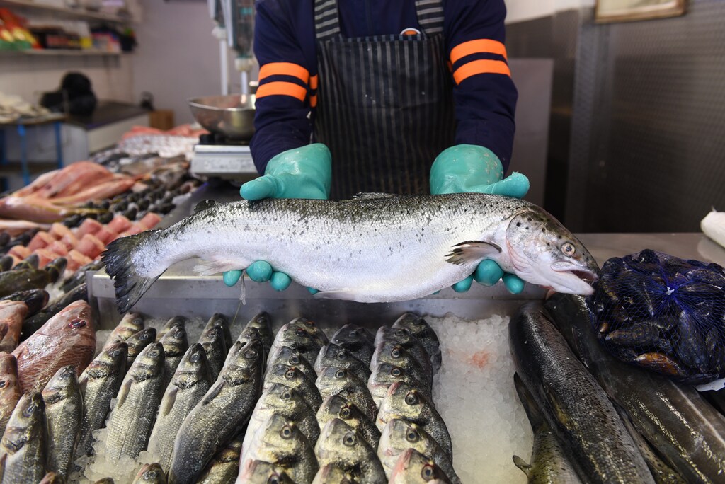 Harmful fisheries subsidies: fish for sale/display