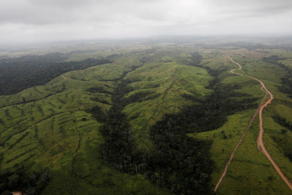 The-Amazon-is-one-of-the-climate-tipping-points
