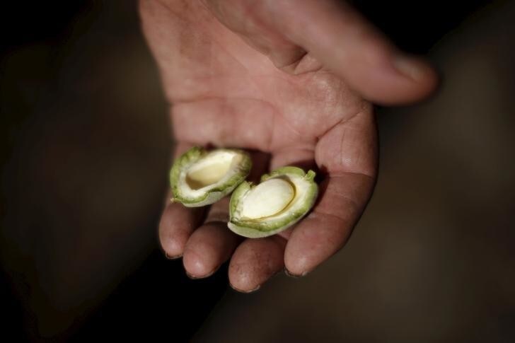 A man displays an almond in Paso Robles, California April 20, 2015. With the country's most populous state entering the fourth year of a devastating drought, Governor Jerry Brown has ordered an overall 25 percent cut in urban water use though the first statewide mandatory reductions in California's history. The suppliers with the highest per capita water use would have to accept a 36 percent cut. Meanwhile, environmentalists and some urban dwellers say the state's $45 billion agriculture industry should bear a greater share of water savings, given its massive water use. REUTERS/Lucy Nicholson