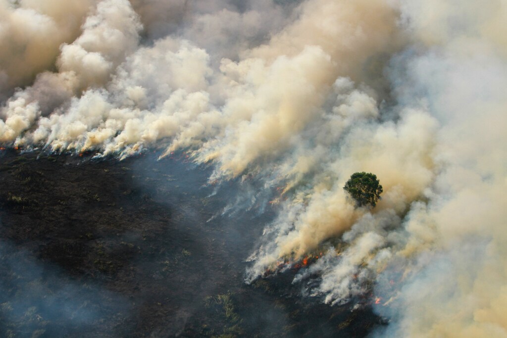 Smoke billows from a forest fire burning in Tapin regency near Banjarmasin, South Kalimantan province, Indonesia, August 29, 2019 in this photo taken by Antara Foto. Picture taken August 29, 2019. Antara Foto/Bayu Pratama S/ via REUTERS ATTENTION EDITORS - THIS IMAGE WAS PROVIDED BY A THIRD PARTY. MANDATORY CREDIT. INDONESIA OUT. - RC16FFCB54B0