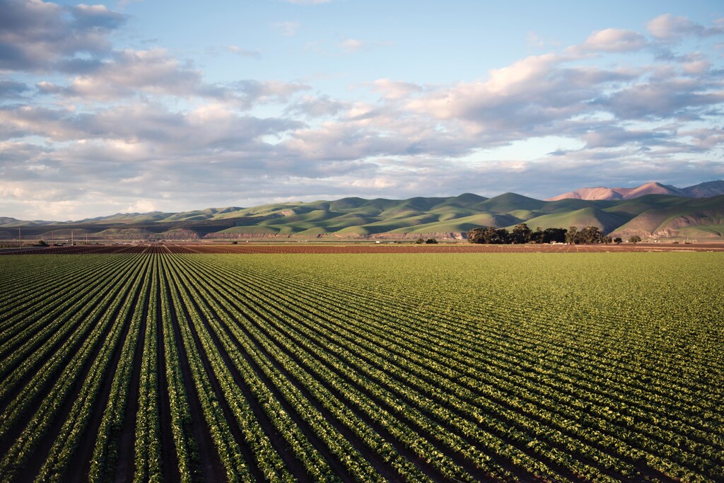 Regenerative climate action: A new way to protect the planet.
