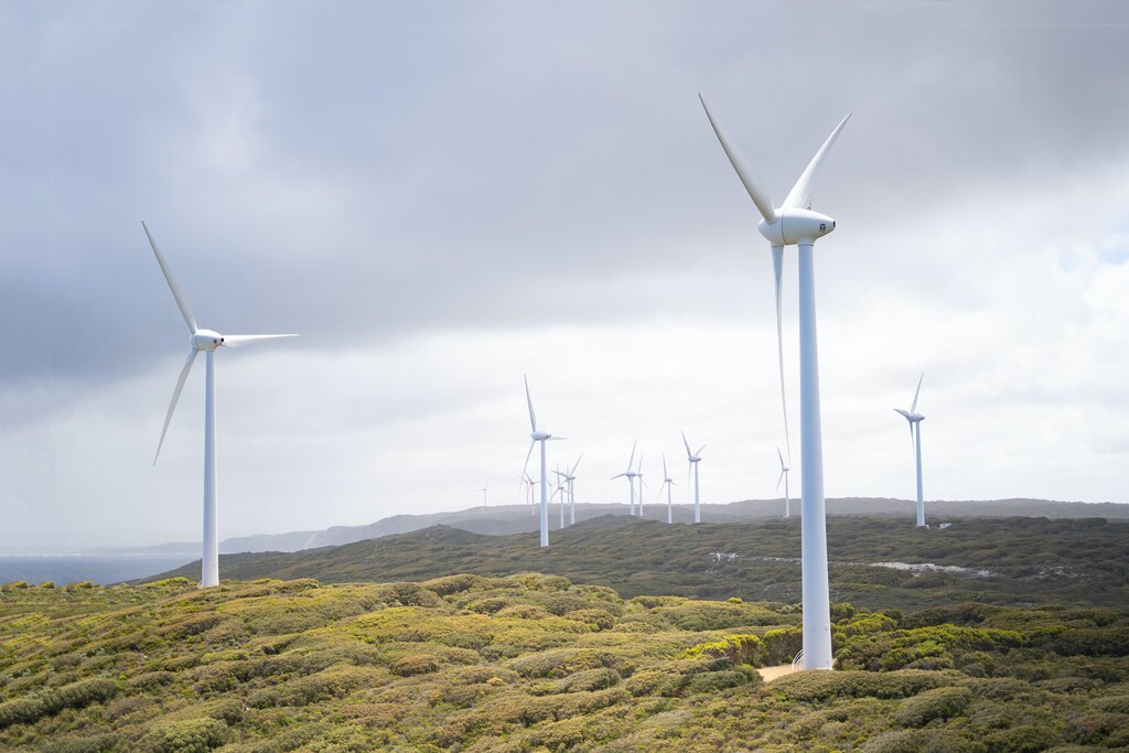 The Energy Information Administration (EIA) predicts that higher renewable energy generation will cut coal reliance in the United States this summer.