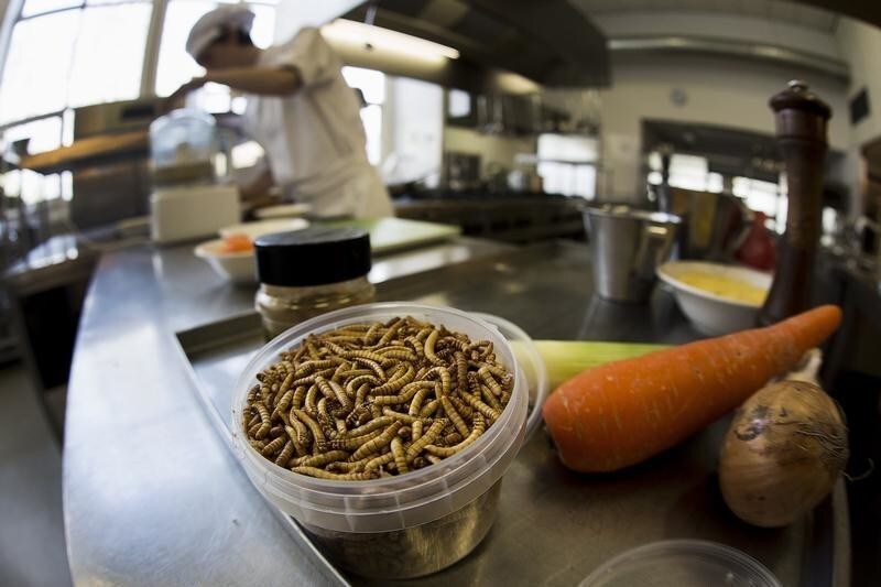Wander Alblas, 18, student cook at the Rijn IJssel Vakschool prepares a Tjap Choi dish made of mealworms and locusts at the Cooking school at the University of Wageningen April 4, 2014. REUTERS/Michael Kooren (NETHERLANDS - Tags: SOCIETY FOOD) - RTR3PFZW