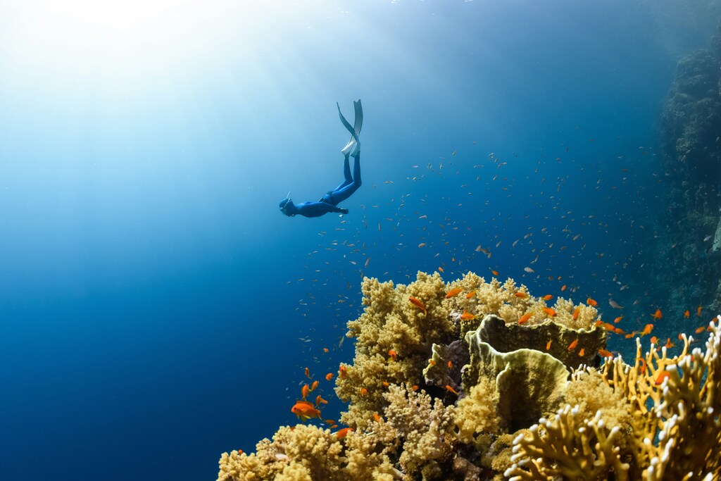 A diver explores an underwater reef: Embracing nature positive practices enhances company reputation.