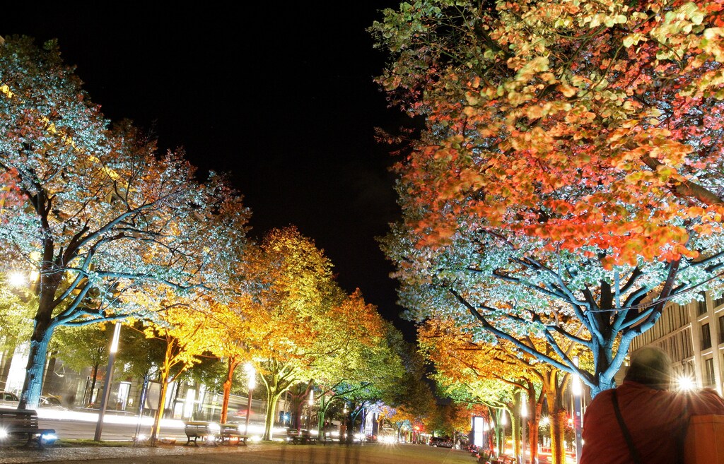 The Unter den Linden boulevard is illuminated during a light rehearsal for the upcoming Festival of Lights in Berlin, October 13, 2009. Several landmarks of the German capital, including boulevards, squares, towers, historical and modern buildings will be illuminated for one week, from October 14 to 25, during the festival. REUTERS/Tobias Schwarz (GERMANY CITYSCAPE SOCIETY IMAGES OF THE DAY) - GM1E5AE054001