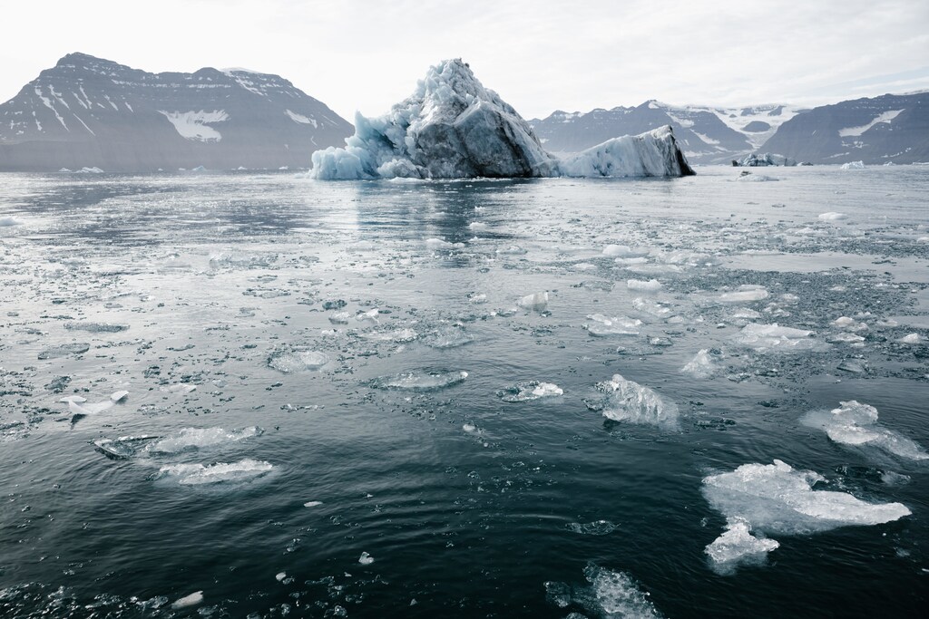 Due to the warming of the ocean, we have the lowest sea ice area ever recorded.