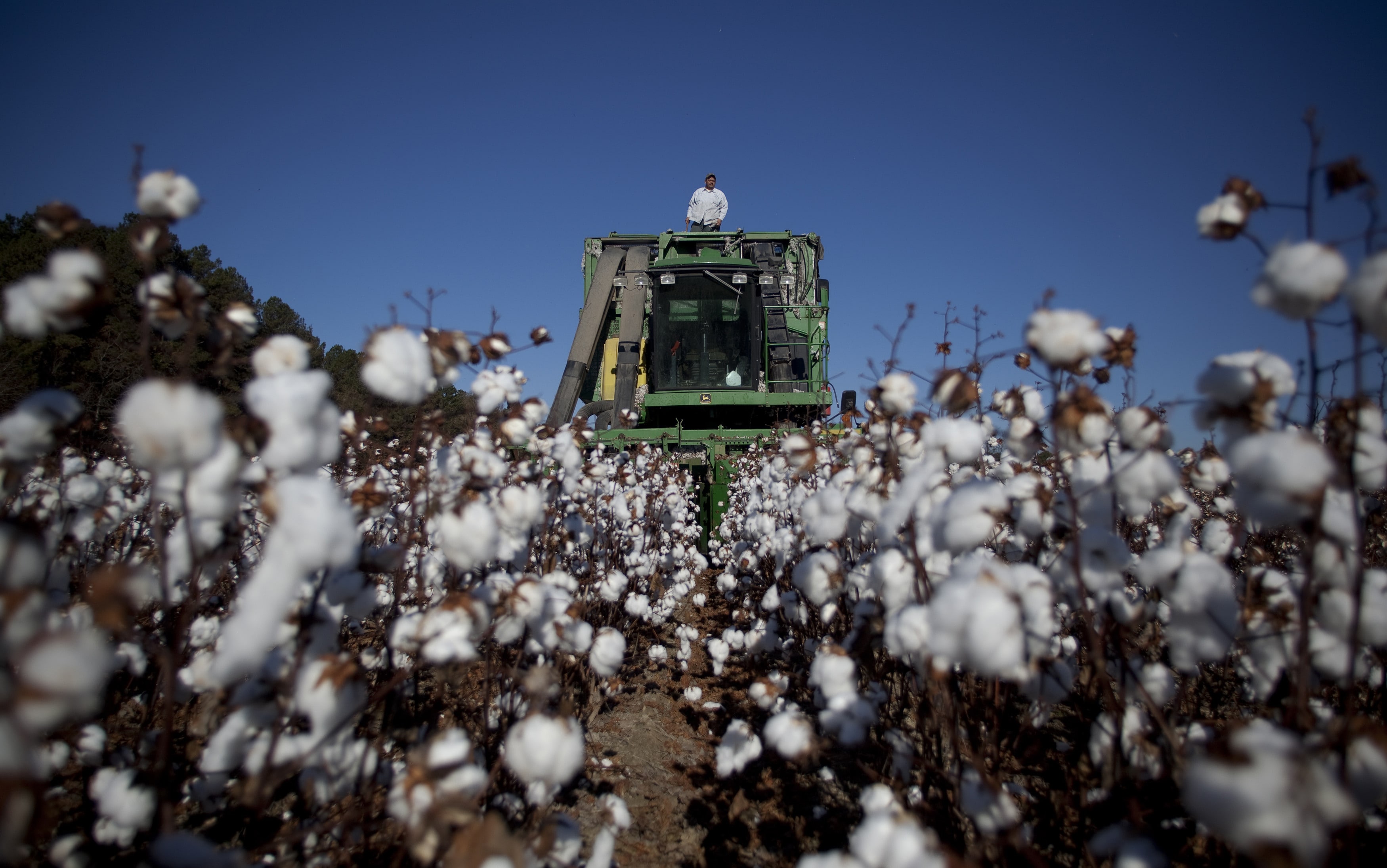 Operator James Grooms stands on top of a cotton picker at Baxley & Baxley Farms as he waits for cotton to be unloaded, in Minturn, South Carolina November 24, 2012. The third generation farm, located along South Carolina's cotton corridor, harvested just under 1100 acres of cotton this season. The Baxley family plants several crops but cotton is the cash crop and the most profitable. Picture taken November 24, 2012. 