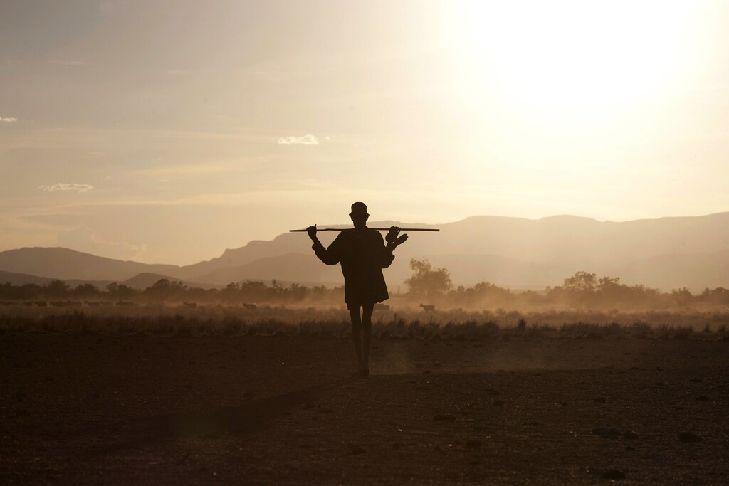 A Turkana man herds livestock back from grazing grounds at the end of the day in the disputed area of the Ilemi triangle in northwestern Kenya near the borders with Ethiopia and South Sudan October 14, 2013. The Turkana are traditionally nomadic pastoralists, but they have seen the pasture that they need to feed their herds suffer from recurring droughts and many have turned to fishing. However, Lake Turkana is overfished, and scarcity of food and pastureland is fuelling long-standing conflict with Ethiopian indigenous Dhaasanac, who have seen grazing grounds squeezed by large-scale government agricultural schemes in southern Ethiopia. The Dhaasanac now venture ever deeper into Kenyan territory in search of fish and grass, clashing with neighbours. Fighting between the communities has a long history, but the conflict has become ever more fatal as automatic weapons from other regional conflicts seep into the area. While the Turkana region is short of basics like grass and ground-water, it contains other resources including oil reserves and massive, newly discovered underground aquifers. Picture taken October 14, 2013. REUTERS/Siegfried Modola (KENYA - Tags: AGRICULTURE CIVIL UNREST SOCIETY POLITICS)ATTENTION EDITORS: PICTURE 20 OF 38 FOR PACKAGE 'FISHING AND FIREARMS ON LAKE TURKANA' TO FIND ALL IMAGES SEARCH 'TURKANA MODOLA' - LM2E9BS1EH201
