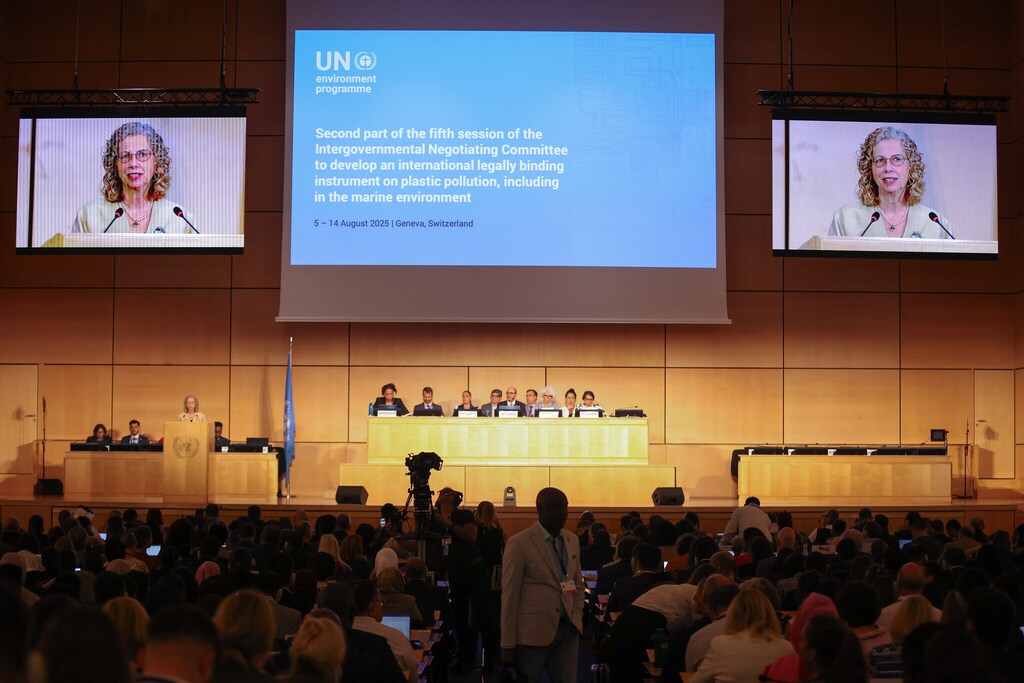 Images from the second part of the fifth session of the Intergovernmental Negotiating Committee on plastic pollution, including in the marine environment (INC-5.2) in Geneva, Switzerland.