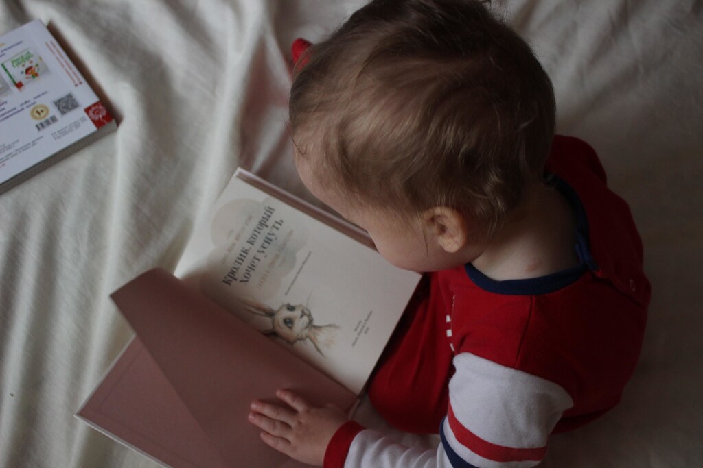 Young child reading a book