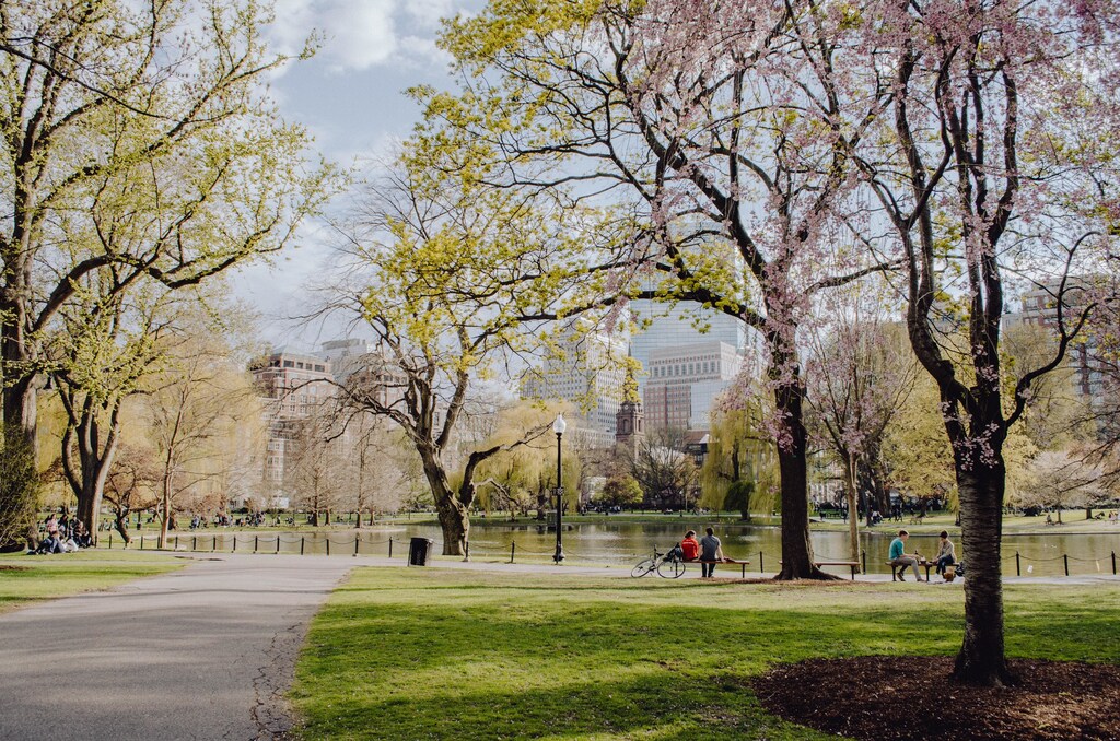 outdoor parks, like this one here, can provide a range of mental health benefits for young people