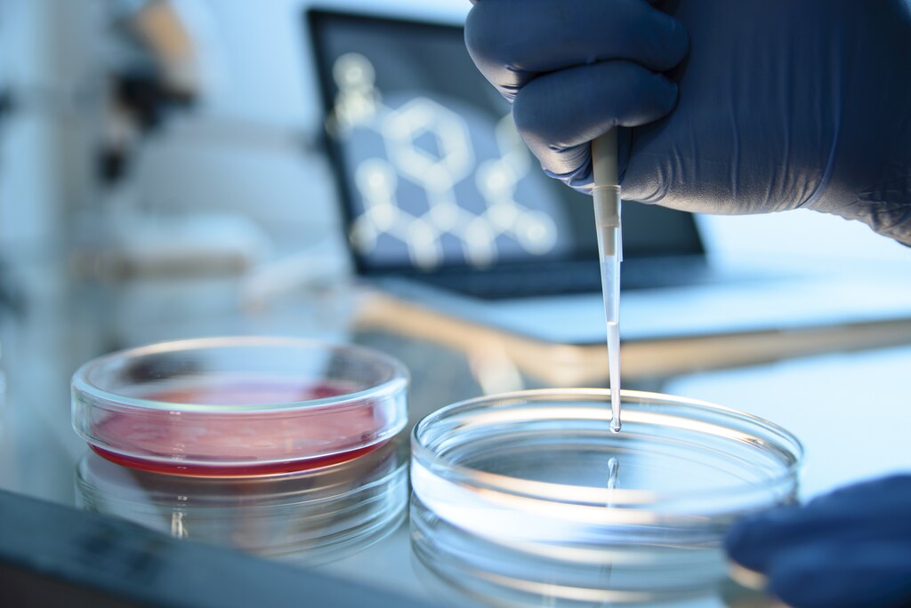 A scientist using a pipette; antimicrobial resistance (AMR) research