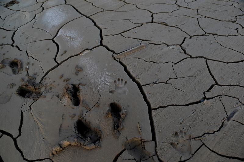 Footsteps and hands print are pictured on dry mud at an area that was hit by floods at Chanaral town, April 8, 2015. Chile was hit by heavy rains and floods at the end of March.