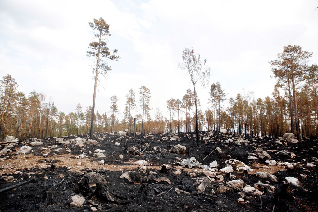 A burnt forest is seen where a wildfire raged, northeast of Ljusdal, central Sweden, July 26, 2018. TT News Agency/via REUTERS ATTENTION EDITORS - THIS IMAGE WAS PROVIDED BY A THIRD PARTY. SWEDEN OUT. NO COMMERCIAL OR EDITORIAL SALES IN SWEDEN. - RC1E43E04540