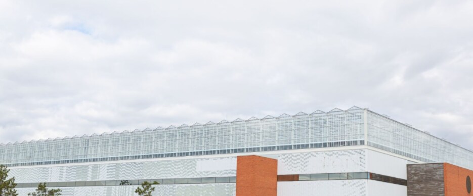 Urban farming food security cities environment