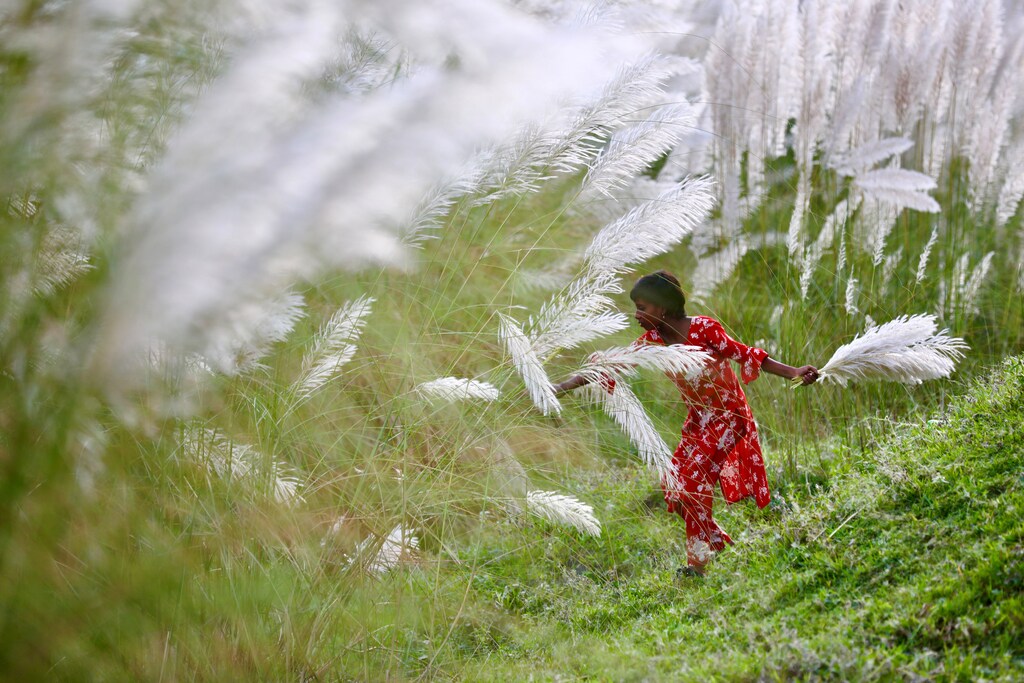 A girl picks catkins in a field amid the COVID-19 pandemic in Sarighat, on the outskirts of Dhaka, Bangladesh, October 2, 2020. REUTERS/Mohammad Ponir Hossain - RC2DAJ9TH9FJ