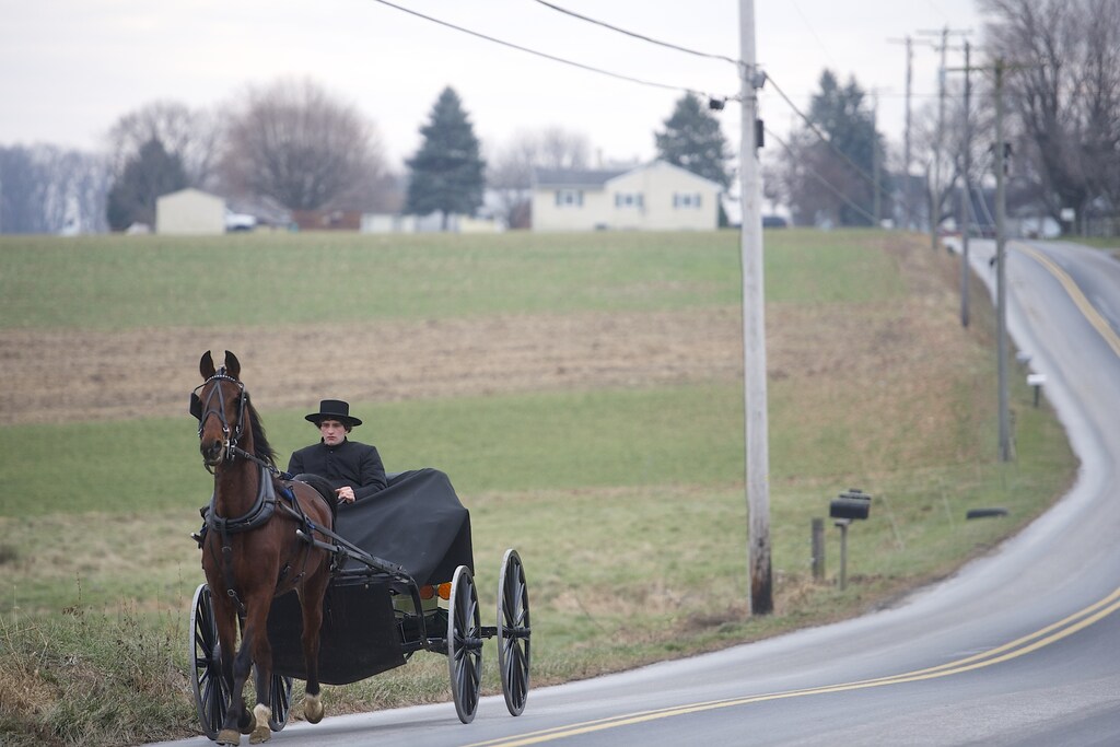 An Amish horse and buggy travels on a road in Bart Township, Pennsylvania December 1, 2013. On Oct. 2, 2006, Charles Roberts, 32, took 10 Amish girls hostage in their one-room schoolhouse in rural Pennsylvania, lined them up and shot them in the head. He then killed himself. Along with that, Terri Roberts herself became a victim, forced to confront life knowing that her son had committed such an atrocity. When the Amish forgave her son, it allowed Roberts, who is not Amish, to forgive him as well. Picture taken December 1, 2013. REUTERS/Mark Makela (UNITED STATES - Tags: CRIME LAW SOCIETY) - GM1E9C60AGH01