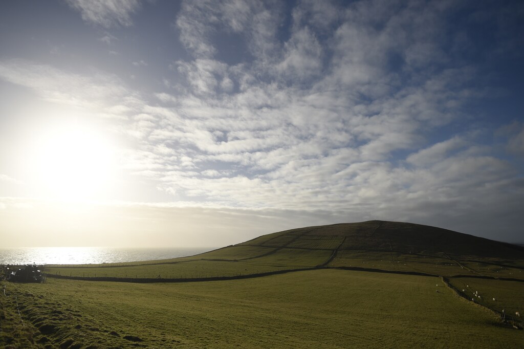 Sheep graze in a field on the Slea Head road in Ventry, Ireland December 27, 2016. REUTERS/Clodagh Kilcoyne - LR1ECCR17HU68
