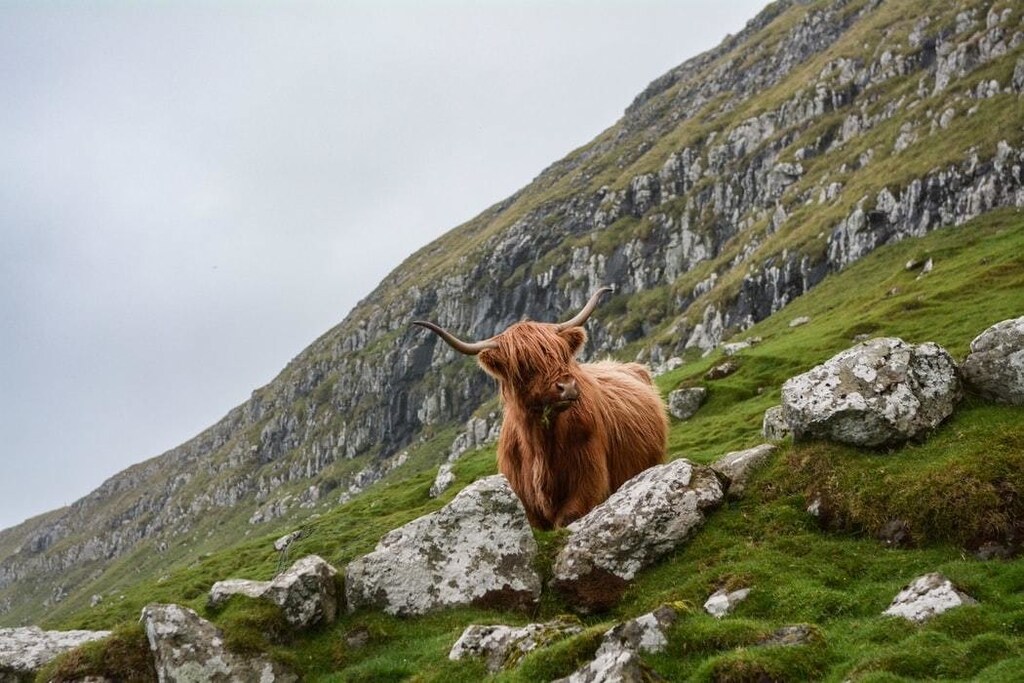 Biodiversity environment nature Scotland