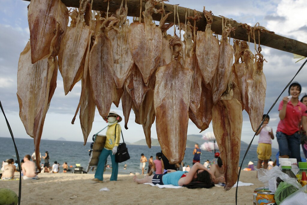 Dried squids are hung for sale on the beach in Nha Trang resort city, central Vietnam June 19, 2008. REUTERS/Kham (VIETNAM) - GM1E46K00N101