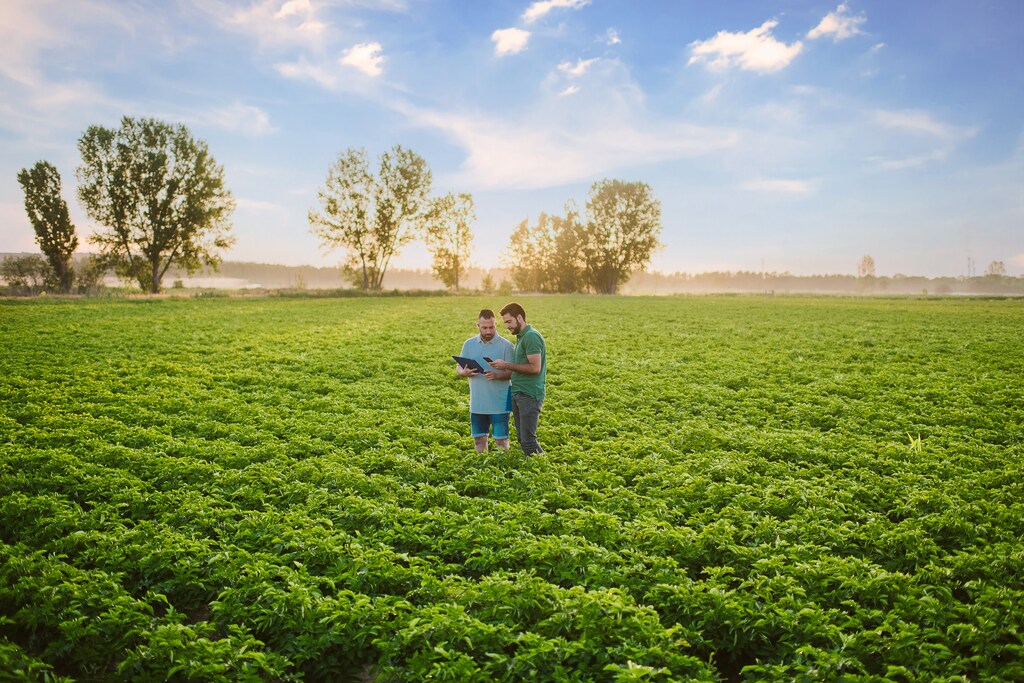 Farmers with tech devices in a field, illustrating the need to transform the global food system