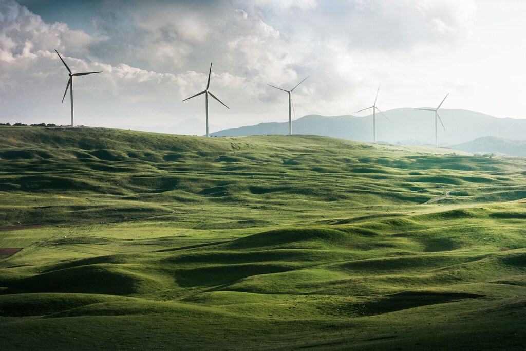 We need to plan the expansion of renewable energy carefully.