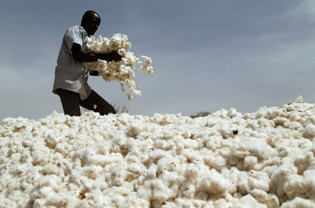 A farmer works in a cotton field in Kongolekan village near Bobo-Dioulasso, Burkina Faso