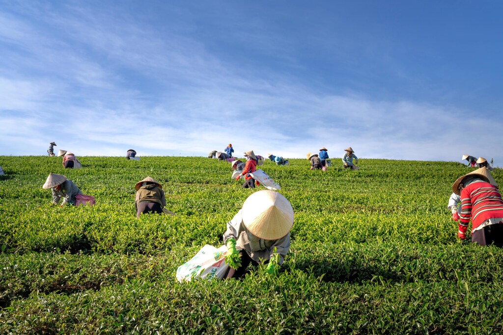 Computer science can help farmers explore a wider range of options by modeling agricultural systems as state spaces.