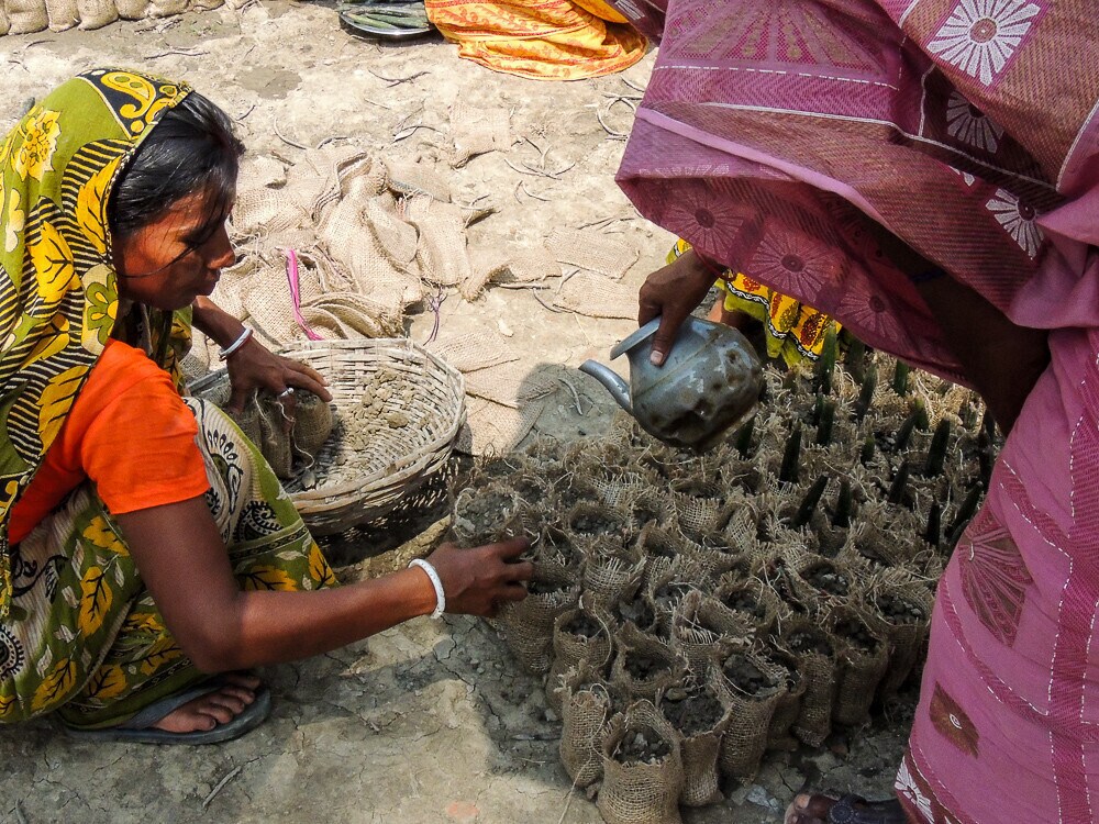 Private sector investment is needed to close the natural climate solutions funding gap.