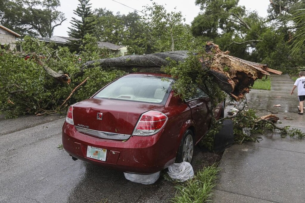 A tree has landed on a car following a hurricane.