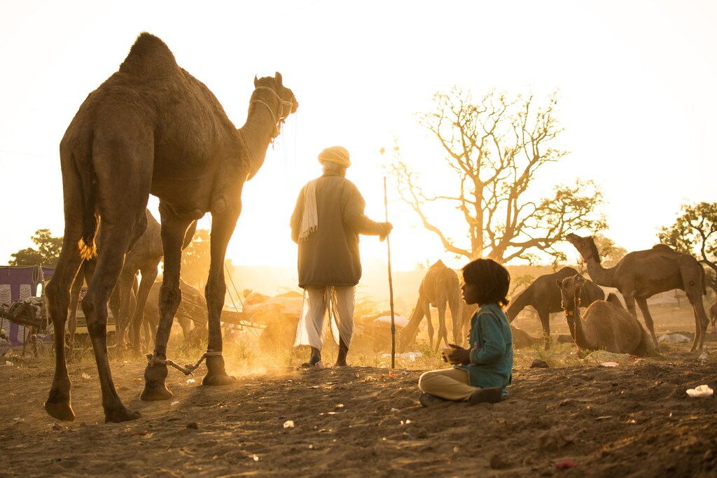 The rainfall pattern of Rajasthan’s Thar region has been changing over the past three decades.