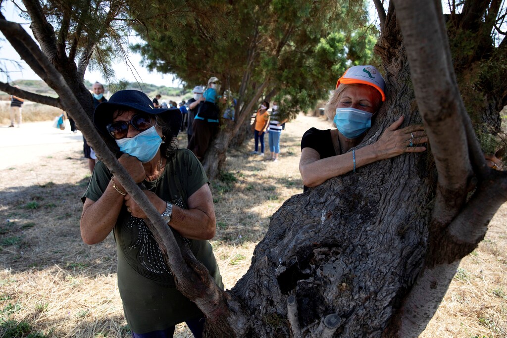 People take part in a campaign by Israel's Nature and Parks Authority calling on Israelis to join sightseeing tours and find comfort in tree hugging amid a spike in the coronavirus disease (COVID-19), in Apollonia National Park, near Herzliya, Israel July 7, 2020. Picture taken July 7, 2020. REUTERS/Ronen Zvulun TPX IMAGES OF THE DAY - RC2ASH9LBMND