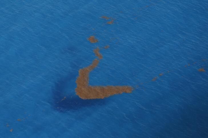 An aerial view of Sargassum algae in Cancun, August 13, 2015. The Sargassum algae contains biting sand fleas and releases a pungent smell as it decomposes. It has choked beaches in resorts throughout the Caribbean including Cancun this season, prompting local authorities to launch a large-scale clean-up operation. REUTERS/Edgard Garrido TPX IMAGES OF THE DAYPICTURE 5 OF 34 FOR WIDER IMAGE STORY 'EARTHPRINTS: CANCUN'SEARCH 'EARTHPRINTS CANCUN' FOR ALL IMAGES TPX IMAGES OF THE DAY