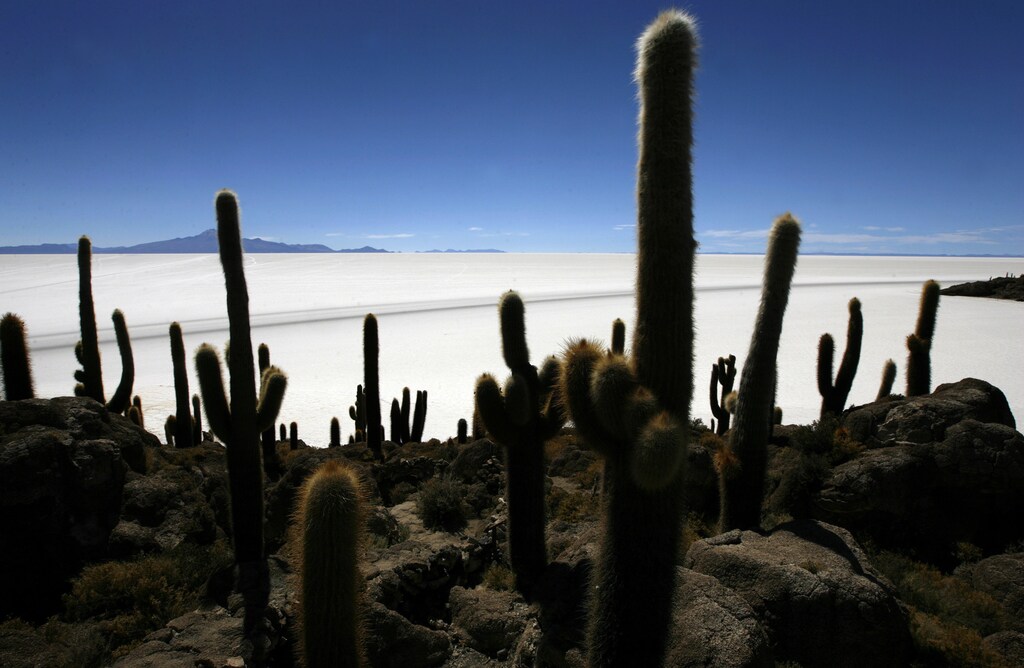 The world's largest salt flat, the Salar de Uyuni, is seen from Incahuasi island in the south of Bolivia at 3676 meters above mean sea level, August 21, 2008. REUTERS/Jorge Silva (BOLIVIA) - RTR21R31