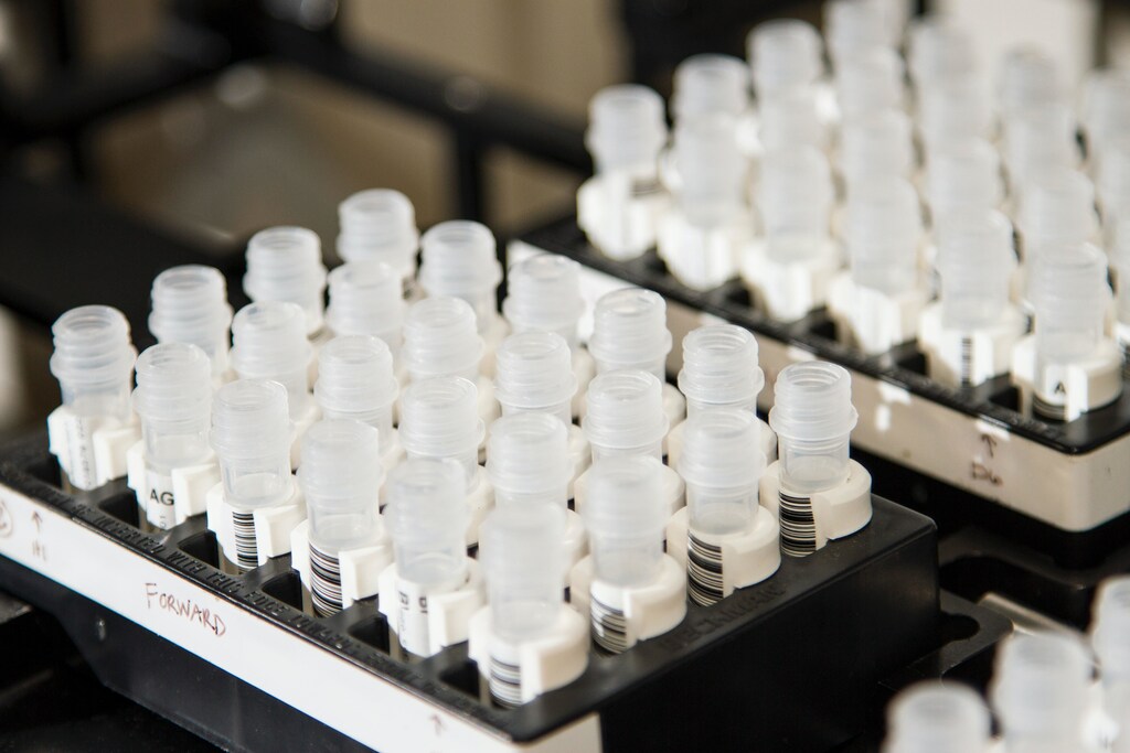 DNA samples on a tray: genomic research can save lives, but with no ethical frameworks in place, the practice could come with an inverse human cost.