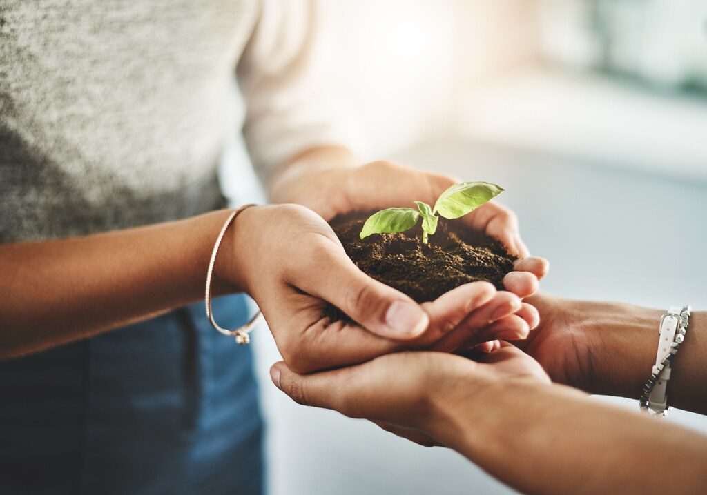 Closeup shot of two unrecognizable businesspeople holding a plant growing out of soil
