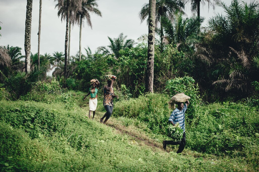 WRI Africa is working with governments, development partners and businesses to catalyze circular food systems in Africa.