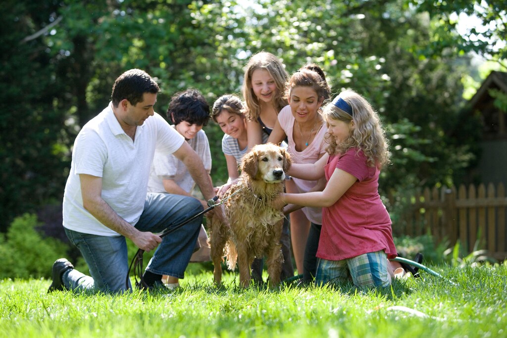A family talking together