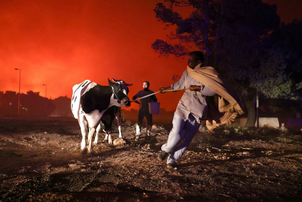 Locals evacuate the area with their animals as a wildfire rages in the suburb of Thrakomakedones, north of Athens, Greece, August 7, 2021.