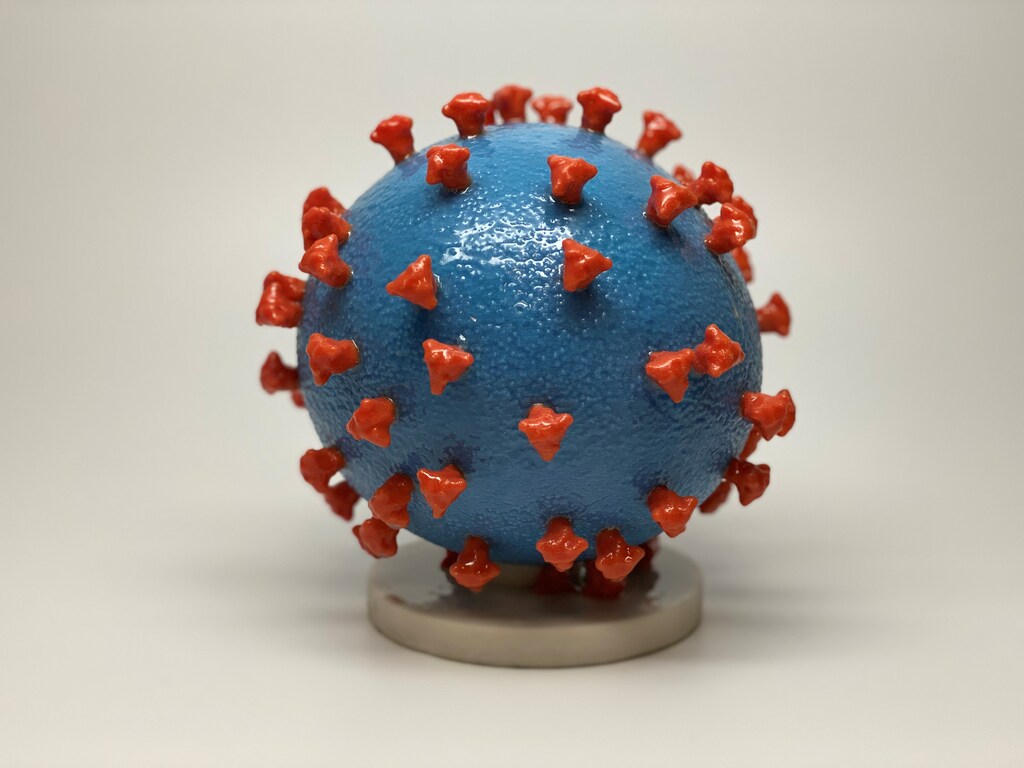 An undated photo shows a 3-D print of a SARS-CoV-2 particle, also known as novel coronavirus, the virus that causes COVID-19. The virus surface (blue) is covered with spike proteins (red) that enable the virus to enter and infect human cells. The spikes on the surface of coronaviruses give this virus family its name ? corona, which is Latin for ?crown,? and most any coronavirus will have a crown-like appearance. NIH/Handout via REUTERS. THIS IMAGE HAS BEEN SUPPLIED BY A THIRD PARTY. MANDATORY CREDIT - RC25NF9QR0YG